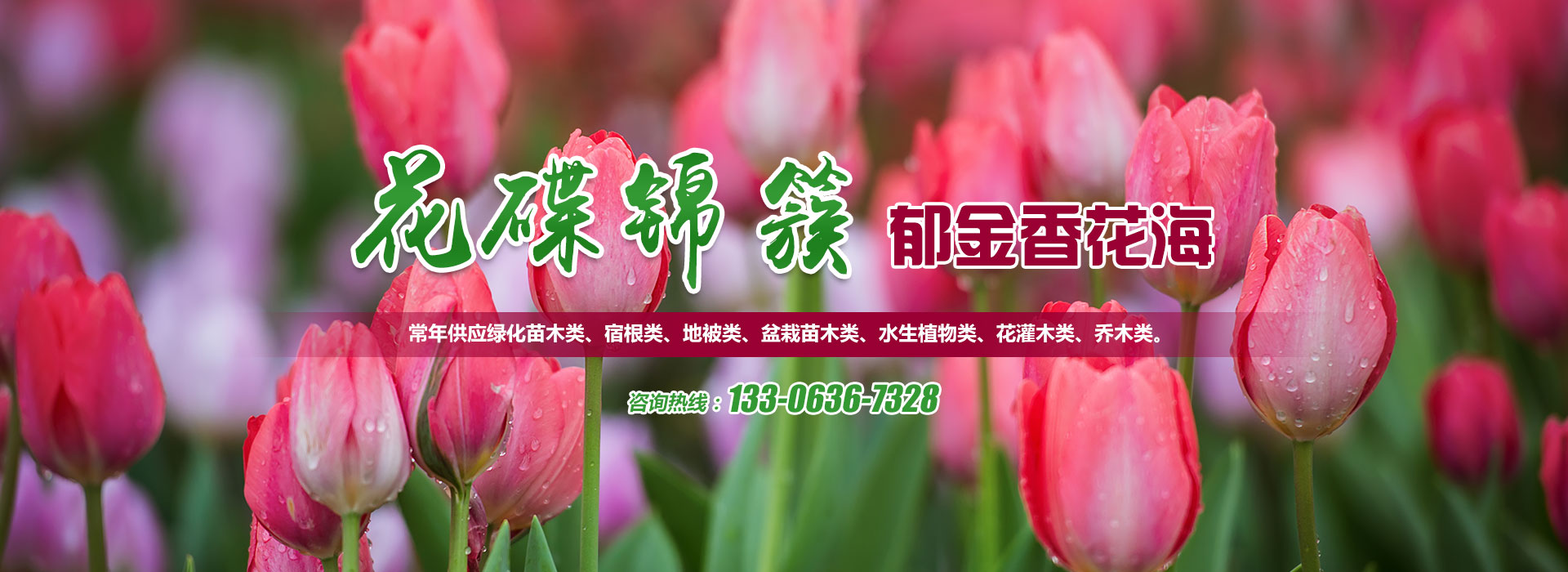 濰坊盛品印刷設(shè)備有限公司
